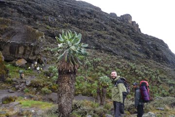 Kilimanjaro Marangu Route