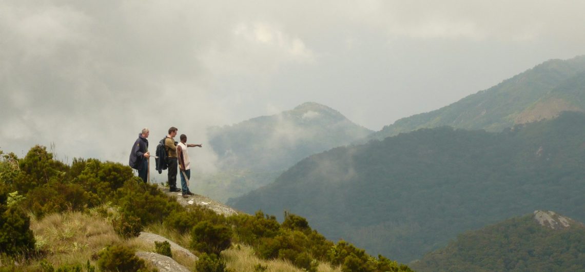 NHM Nguru mountains