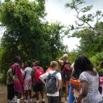 Zanzibar Red Colobus, School Trip