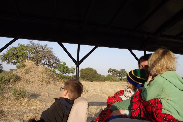 Family game drive with cheetah