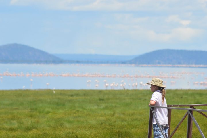 Child looking at Flamingos Lake manyara
