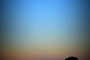 Serengeti Moonrise