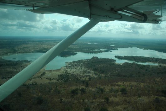 Flying Safari