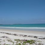 Zanzibar White Sand Beaches
