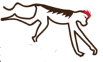 Wild Thing Safaris